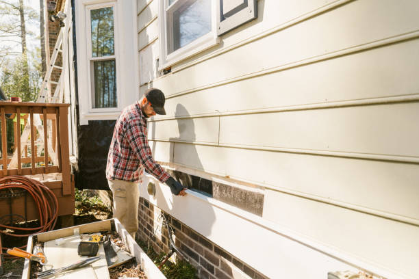 Top rated local Siding Repair specialists in Melrose, MN